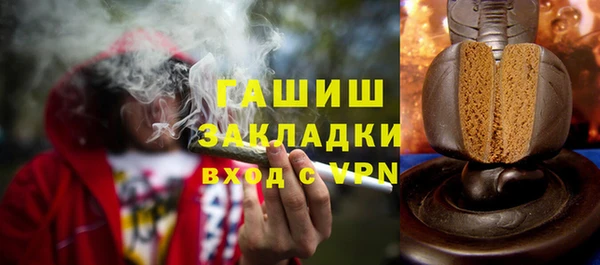 гашик Туринск
