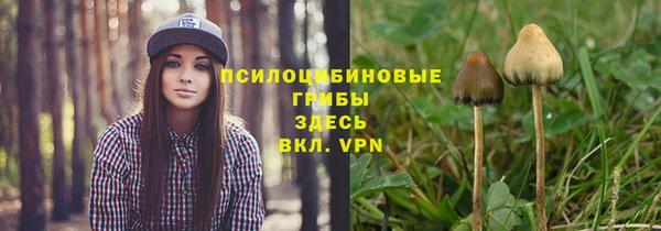дмт Володарск