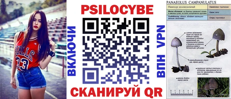 Галлюциногенные грибы Psilocybe  как найти   Лукоянов 