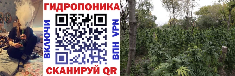 ссылка на мегу сайт  купить  сайты  Лукоянов  Шишки марихуана сатива 